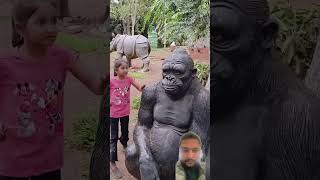 Gorilla 🦍 animals monkey gorilla zoo kgfchapter2 music song shorts [upl. by Ahsan76]