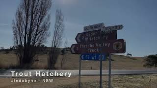 Inside Jindabyne Exploring the Trout Hatchery in NSW Australia [upl. by Benjamin]