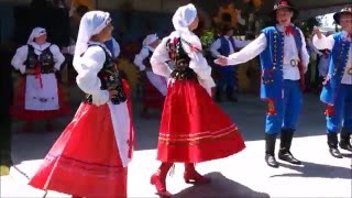 DOŻYNKI  Polish Harvest Festival  Houston 2015 [upl. by Aserat]