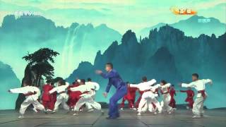 Wushu Performance  Chinese New Year 2013  2013年春晚《中国武术》 [upl. by Eita]