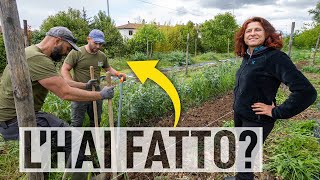 MAGGIO 12 CONSIGLI per il tuo ORTO🌱 [upl. by Tabatha444]