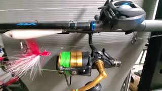 peacock bass fishing rods and reels [upl. by Martens]