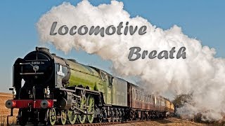 Locomotive Breath  Heaviest Rockiest Jethro Tull cover [upl. by Aynotel]