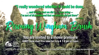 Rescuing Wingham Brush a recording of the premiere including Q and A [upl. by Rise67]