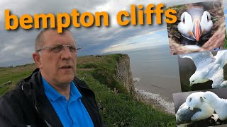 bempton cliffs [upl. by Roby494]