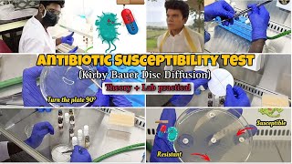 Antibiotic Susceptibility Test  Kirby Bauer Disc Diffusion  Practical Demo  Tamil  ThiNK Biology [upl. by Nealon]