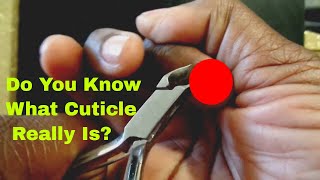 How to Cut Cuticles the Right Way Using Nippers [upl. by Mcintyre]