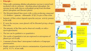 Milk Microbiology Part 5 Phosphatase Test [upl. by Aila177]