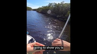 fishing live shrimp [upl. by Janessa113]