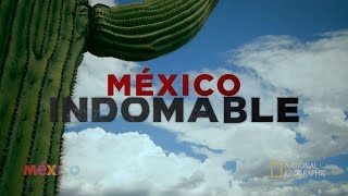 México Indomable Episodio 2 [upl. by Penelopa]