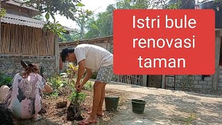 ISTRI BULE renovasi taman sama coba makan gorengan di jalan🌮 [upl. by Aguste849]