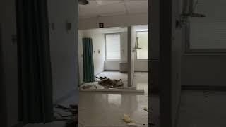 Inside Abandoned Hospital In Waukegan Illinois [upl. by Celine735]