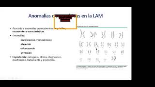 Leucemia Mieloide Aguda [upl. by Alihet]