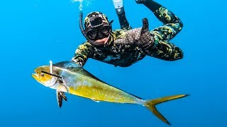 Bluewater SPEARFISHING Mahi Mahi  Tusk Fish Catch n Cook [upl. by Eirrek317]