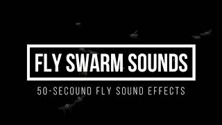 Fly Swarm Sound Effect 🪰 Flys Buzzing Sounds 🪰 Swarm of Flies Sound [upl. by Orofselet314]