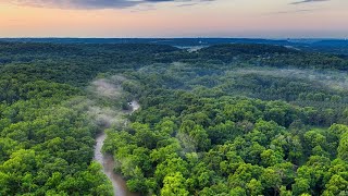 Amazon rainforest  Ecosystems [upl. by Lezti417]