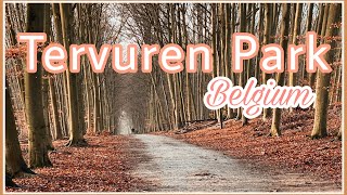 The calm before the Snow  Must visit in Belgium  Tervuren Park [upl. by Nosauq]