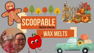 Scoopable Wax Melts Etsy Store Wax Haul  October 2024 waxhaul vendorwax homefragrance [upl. by Doy]