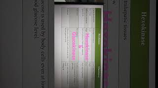 Difference between Hexokinase amp Glucokinase [upl. by Hallett449]