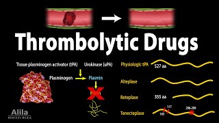 Pharmacology Thrombolytic Fibrinolytic Drugs Animation [upl. by Notlrak]