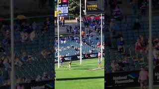 McBean kicks a nice set Shot for Glenelg sanfl afl sanflfinals footyfinals shorts [upl. by Aleta97]