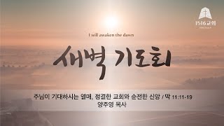 새벽기도 240202 quot주님이 기대하시는 열매 정결한 교회와 순전한 신앙quot 막 11119  양주영 목사 [upl. by Oecam]