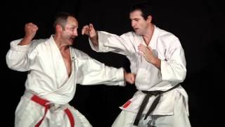 Karate Shotokan Bunkai  Bernard Bilicki sensei volume 1 [upl. by Gilboa]