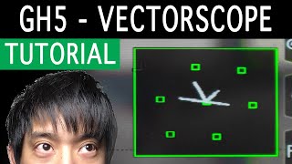 GH5 Vectorscope for skin tones and more [upl. by Durward896]