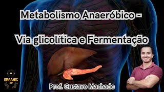 Metabolismo Anaeróbico  Via glicolítica e Fermentação [upl. by Ahsinnek]