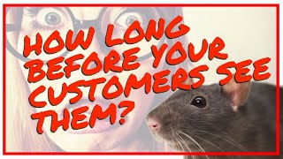 Restaurant Rat Removal Pest Control Customer Saw Rat Traps Signs Grease Melbourne [upl. by Duntson31]