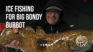 Big Bondy Burbot [upl. by Petromilli]