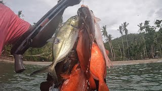 Spearfishing Grenada [upl. by Amsed]