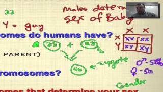 Chapter 14 Part 1  Types of Human Chromosomes [upl. by Delaryd]