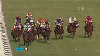 ASHWA VIKRANT wins The Hampi Plate [upl. by Garv462]