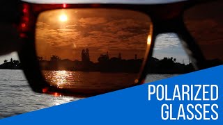 How Do Polarized Glasses Work [upl. by Davidson360]