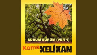 Sürüm Sürüm Versiyon 1 [upl. by Geralda]