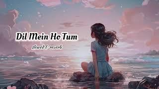 Dil Mein Ho Tum  Slowed × Reverb  Why Cheat India 🎞  Dil Mein Ho Tum Lofi Music 🎶 [upl. by Cleodal25]