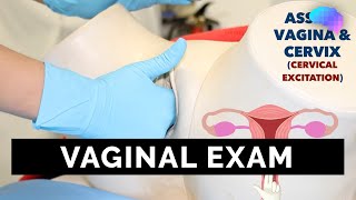 Vaginal Examination PV  OSCE Guide  UKMLA  CPSA [upl. by Thorrlow]