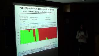 Population genetics of Phytophthora infestans [upl. by Onil]