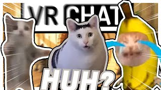 Happy cat memes  VRCHAT Funny Moments [upl. by Letnahs]