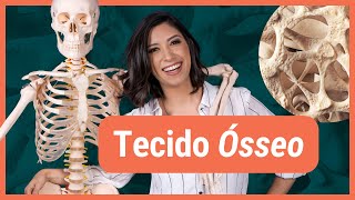 TECIDO ÓSSEO  Histologia [upl. by Nerat693]