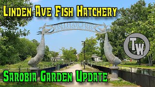 Fish Hatchery At Linden Ave [upl. by Coltin]