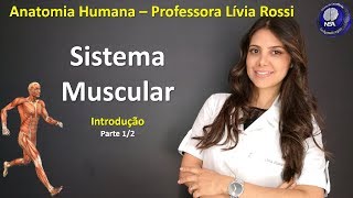 Anatomia Humana  Sistema Muscular  Introdução 12 [upl. by Dittman934]