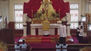 SSPXNZ live Stream  30 December 2018 High Mass [upl. by Hsirrap]