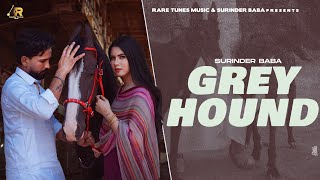 Greyhound  Full Song  Surinder Baba  G Skillz  New Punjabi Song 2024  Latest Punjabi Song 2024 [upl. by Enimzzaj457]