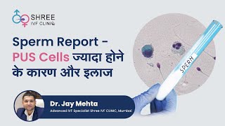 Sperm Report  PUS Cells ज्यादा होने के कारण और इलाज  Causes of abnormal PUS Cells  Dr Jay Mehta [upl. by Halbert804]