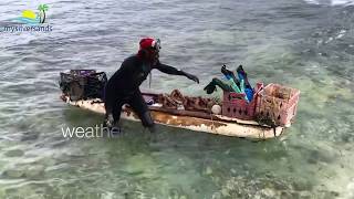 Shine the Conch Man at Silver Sands Jamaica [upl. by Swane]