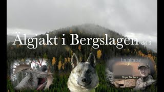 Älgjakt i Bergslagen del 3 Moosehunt in Bergslagen Sweden part 3 [upl. by Arim]