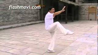 Taiji 28 Form  Chinese Martial Arts [upl. by Armbrecht]