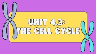 Unit 43 The Cell Cycle [upl. by Ttirrej913]